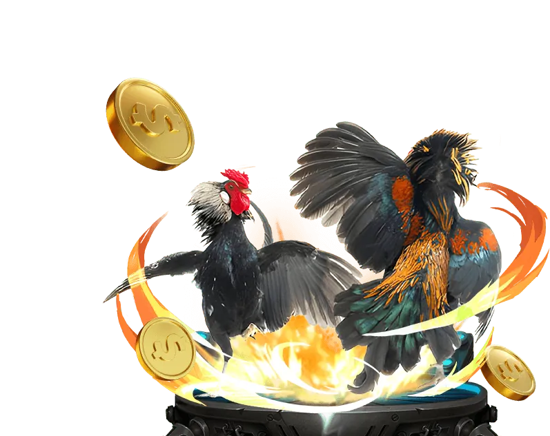 Trực tiếp đá gà app u888