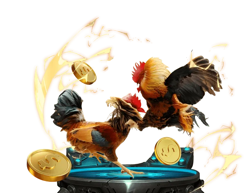 Các loại hình đá gà app u888